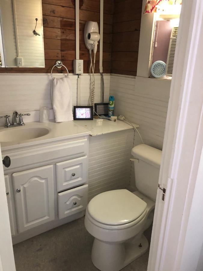 Dragonfly Cottage 1 Of 5 Listings Downtown アルパイン エクステリア 写真