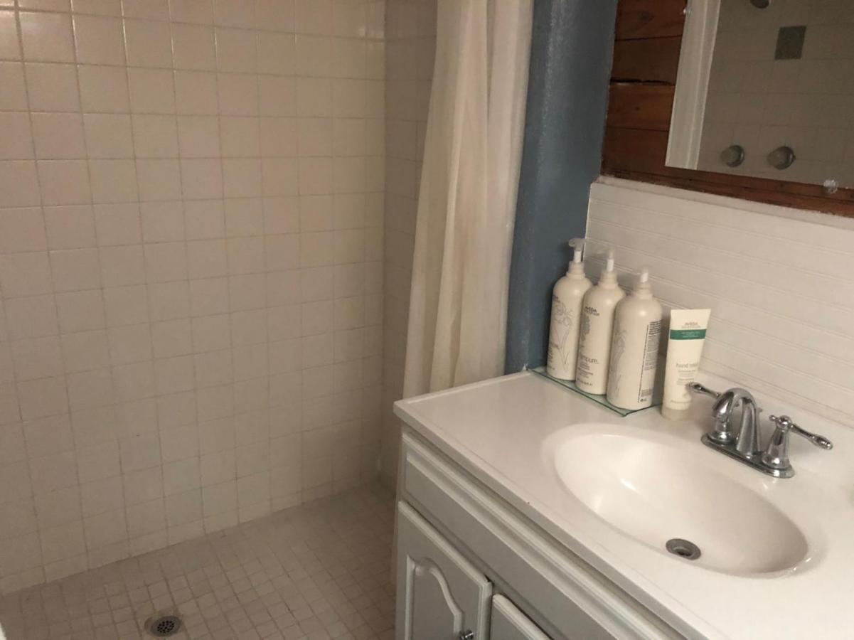 Dragonfly Cottage 1 Of 5 Listings Downtown アルパイン エクステリア 写真